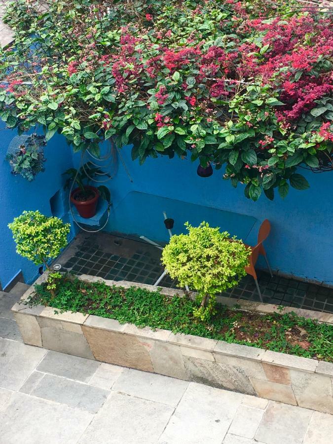 Hostal Praça Da árvore